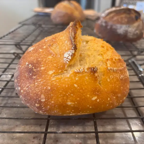 mini sourdough artisan loaf